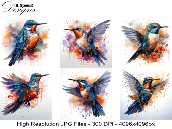Download A Humming Bird - Premium Resources