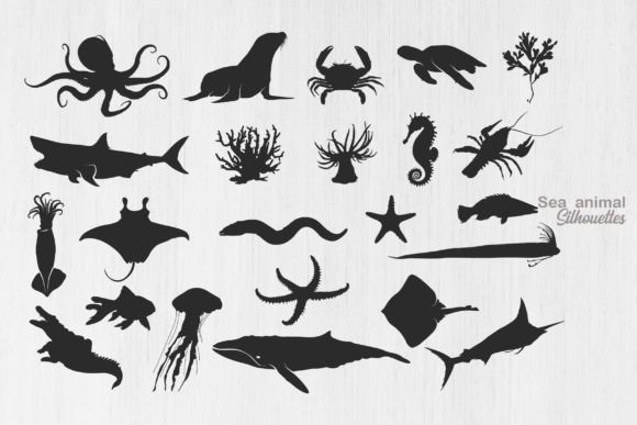 Download Sea Animal Silhouette, Ocean Animal SVG - Svg Collection
