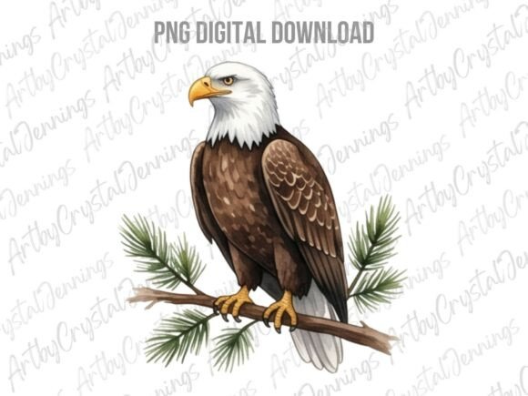 Download American Bald Eagle Bird PNG - Bird Collection